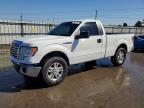 2009 Ford F150