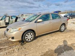 2009 Toyota Corolla le for sale in Louisville, KY
