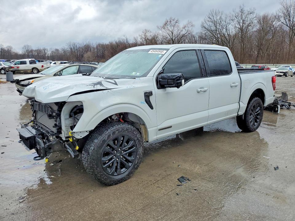2024 Ford F150 xlt