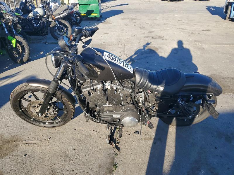 2021 Harley-Davidson XL883 N