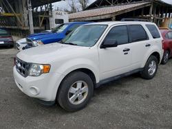Ford Escape xlt salvage cars for sale: 2012 Ford Escape xlt