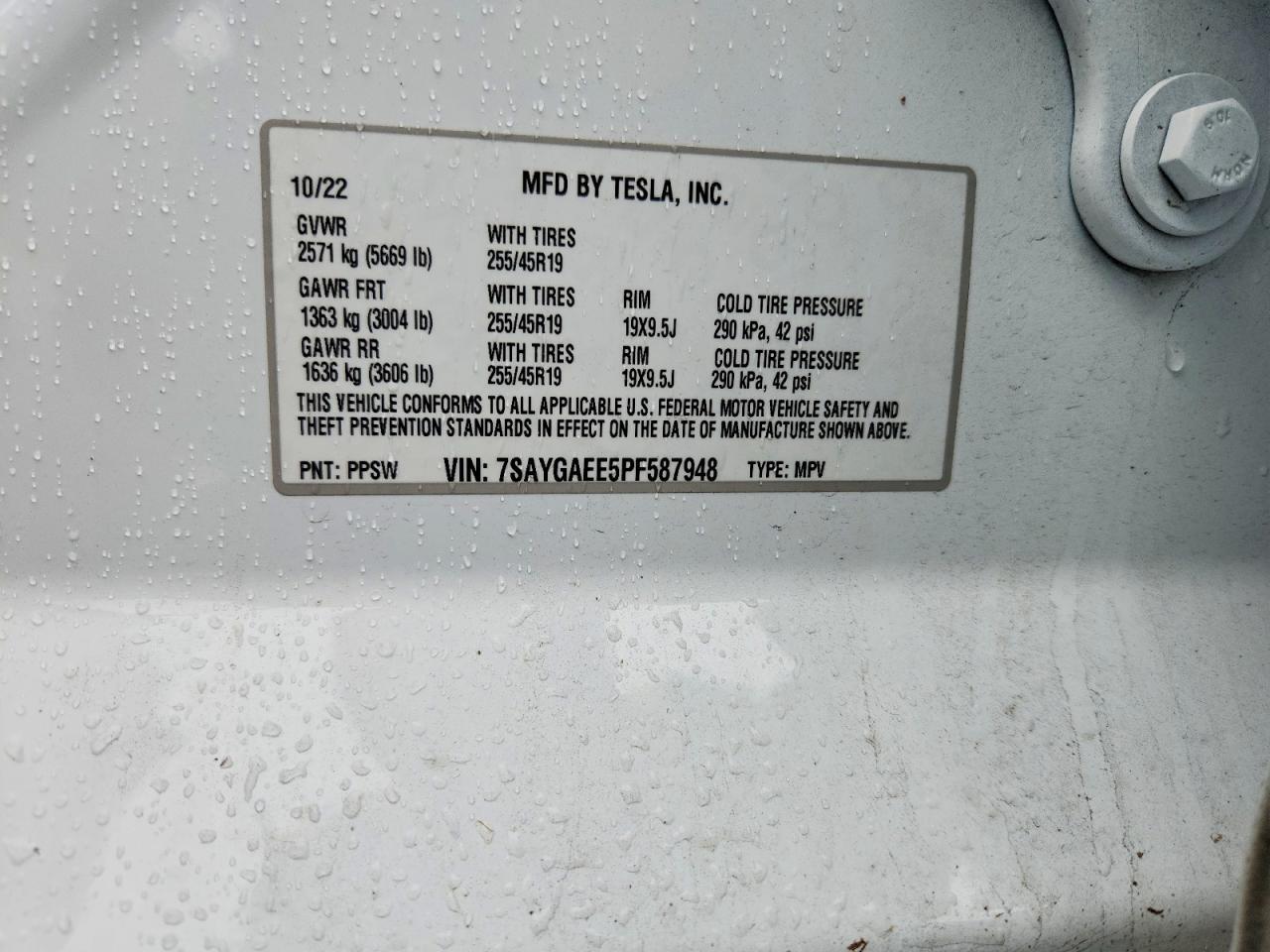 2023 Tesla Model y