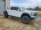 2024 Ford F150 Raptor