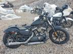 2020 Harley-Davidson XL883 N
