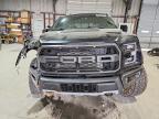 2018 Ford F150 Raptor
