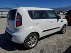 2010 KIA Soul +