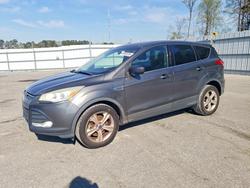 Salvage cars for sale from Copart Dunn, NC: 2016 Ford Escape se
