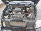 2006 Dodge Dakota Quad SLT