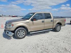Salvage trucks for sale at Taylor, TX auction: 2014 Ford F150 Supercrew