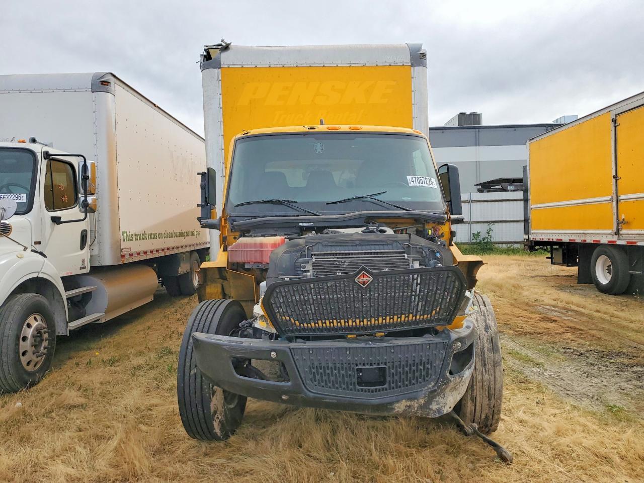 2023 International MV607 BOX Truck