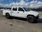 2001 Dodge Dakota Quattro