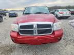 2007 Dodge Dakota Quad SLT