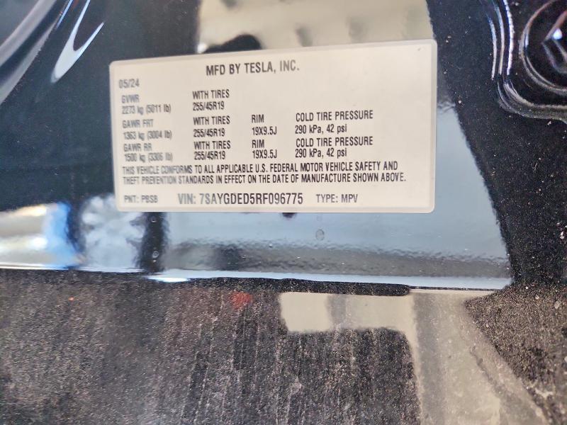2024 Tesla Model y