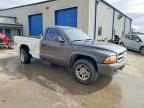 2004 Dodge Dakota SXT