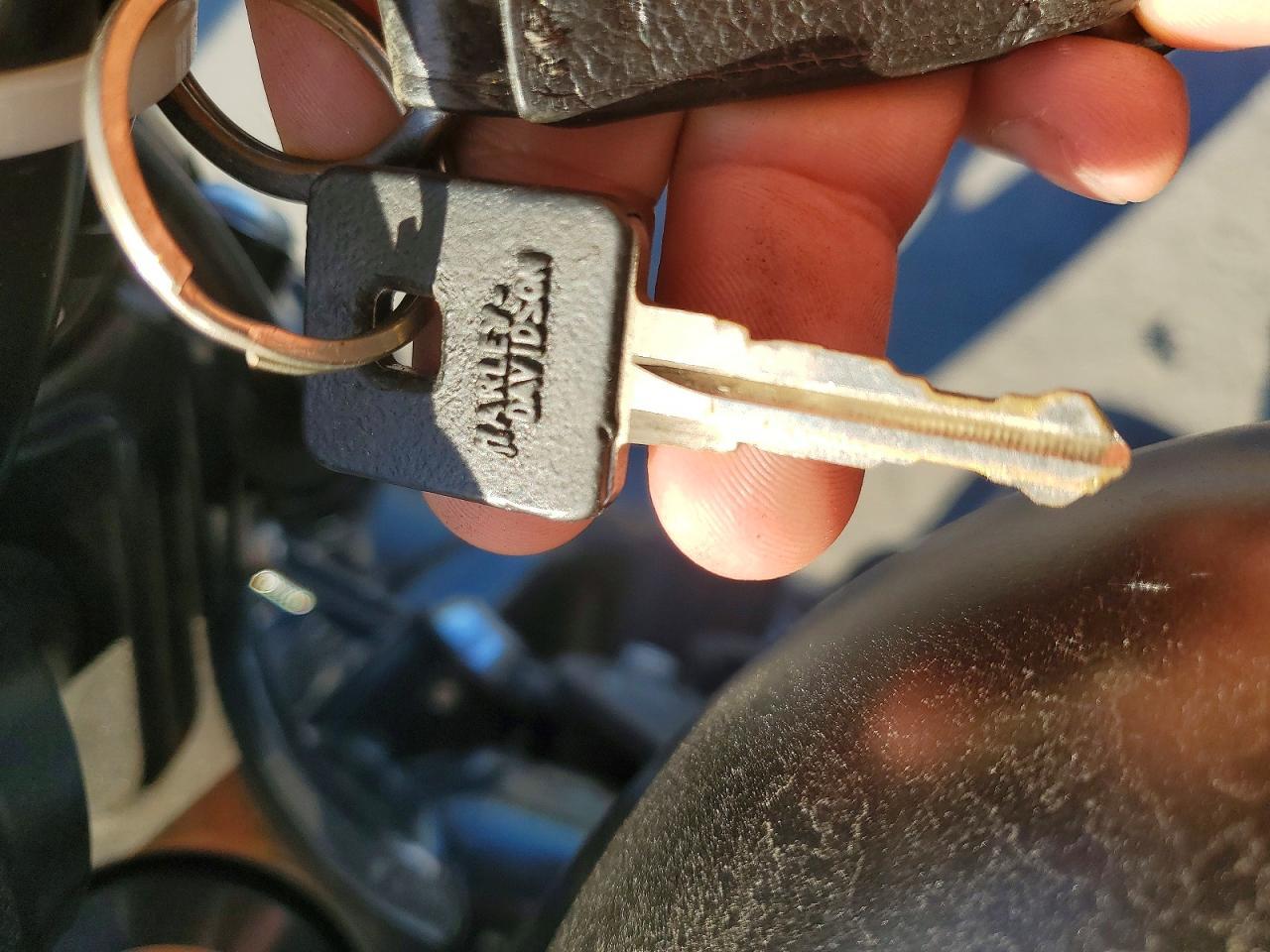 2021 Harley-Davidson XL883 N