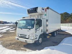 2017 Isuzu Nqr Refrigerated box Truck for sale in Brookhaven, NY