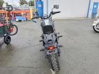 2024 Kawasaki EN650 C