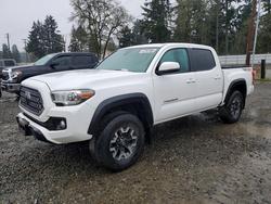 Salvage trucks for sale at Spanaway, WA auction: 2019 Toyota Tacoma TRD OFF-Road