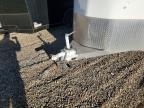 2022 Trailswest Royale BP SXS Tack Horse Trailer