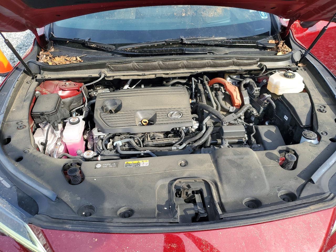 2023 Lexus Rx 350h Luxury