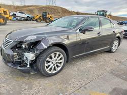 2010 Lexus Ls 460 Base for sale in Littleton, CO