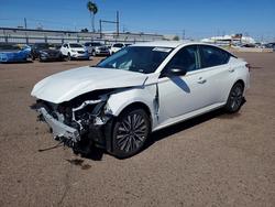 2026 Nissan Altima 2.5 sv for sale in Phoenix, AZ