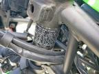 2024 Kawasaki EX500 H