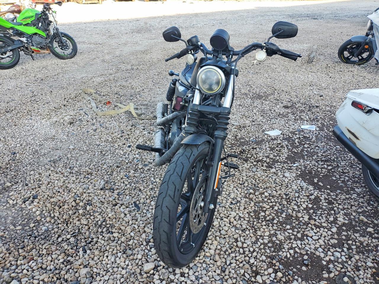 2020 Harley-Davidson XL883 N