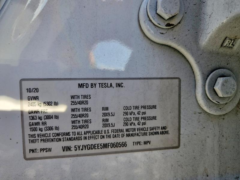 2021 Tesla Model y