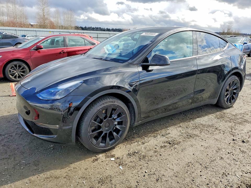 2024 Tesla Model y