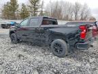 2021 Chevrolet Silverado K1500 LT Trail Boss