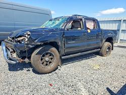 Vehiculos salvage en venta de Copart Riverview, FL: 2012 Toyota Tacoma Prerunner V6