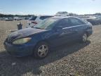 2005 Toyt Camry