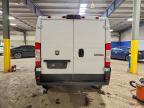 2019 Dodge RAM Promaster 1500 Utility / Service Van