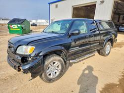Salvage trucks for sale at Milwaukee, WI auction: 2003 Toyota Tundra Limited