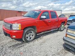 Chevrolet salvage cars for sale: 2010 Chevrolet Silverado C1500 LTZ