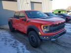 2022 Ford F150 Raptor