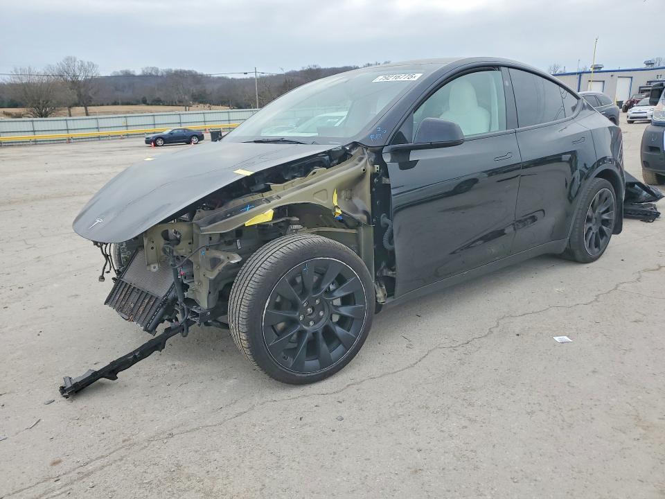 2025 Tesla Model y