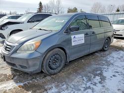 Honda Odyssey salvage cars for sale: 2010 Honda Odyssey dx