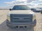 2013 Ford F150