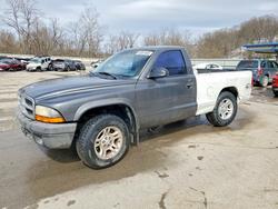 Dodge Dakota salvage cars for sale: 2004 Dodge Dakota sxt