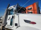 2012 Peterbilt 386 Semi Truck