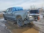 2024 Chevrolet Silverado K1500 Trail Boss Custom