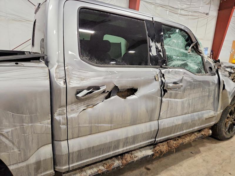 2025 Ford F150 XLT