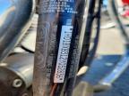 2002 Harley-Davidson Flstfi