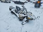 2019 Skidoo Renegade Adrenaline