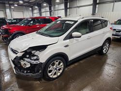 2014 Ford Escape for sale in Ham Lake, MN