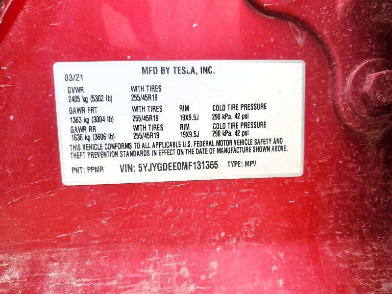 2021 Tesla Model y