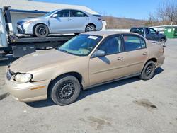 Chev Vehiculos salvage en venta: 2001 Chev Malibu