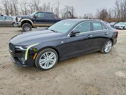 2023 Cadillac CT4 Premium Luxury en venta en Baltimore, MD